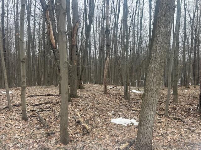 Property Photo:  9735 Pere Marquette Drive  MI 49346 