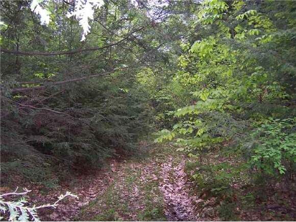 Property Photo:  0 John Stark Highway  NH 03773 