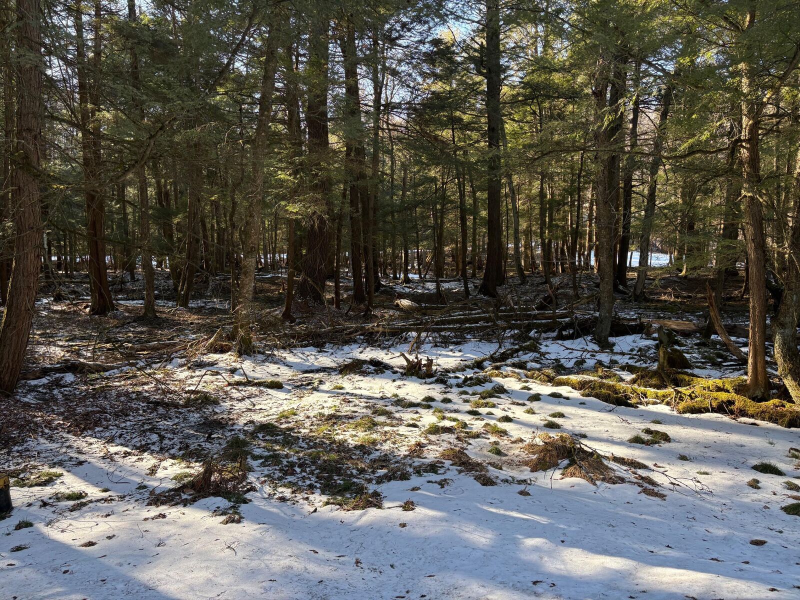 Property Photo:  25 Woolendean Rd  PA 15801 