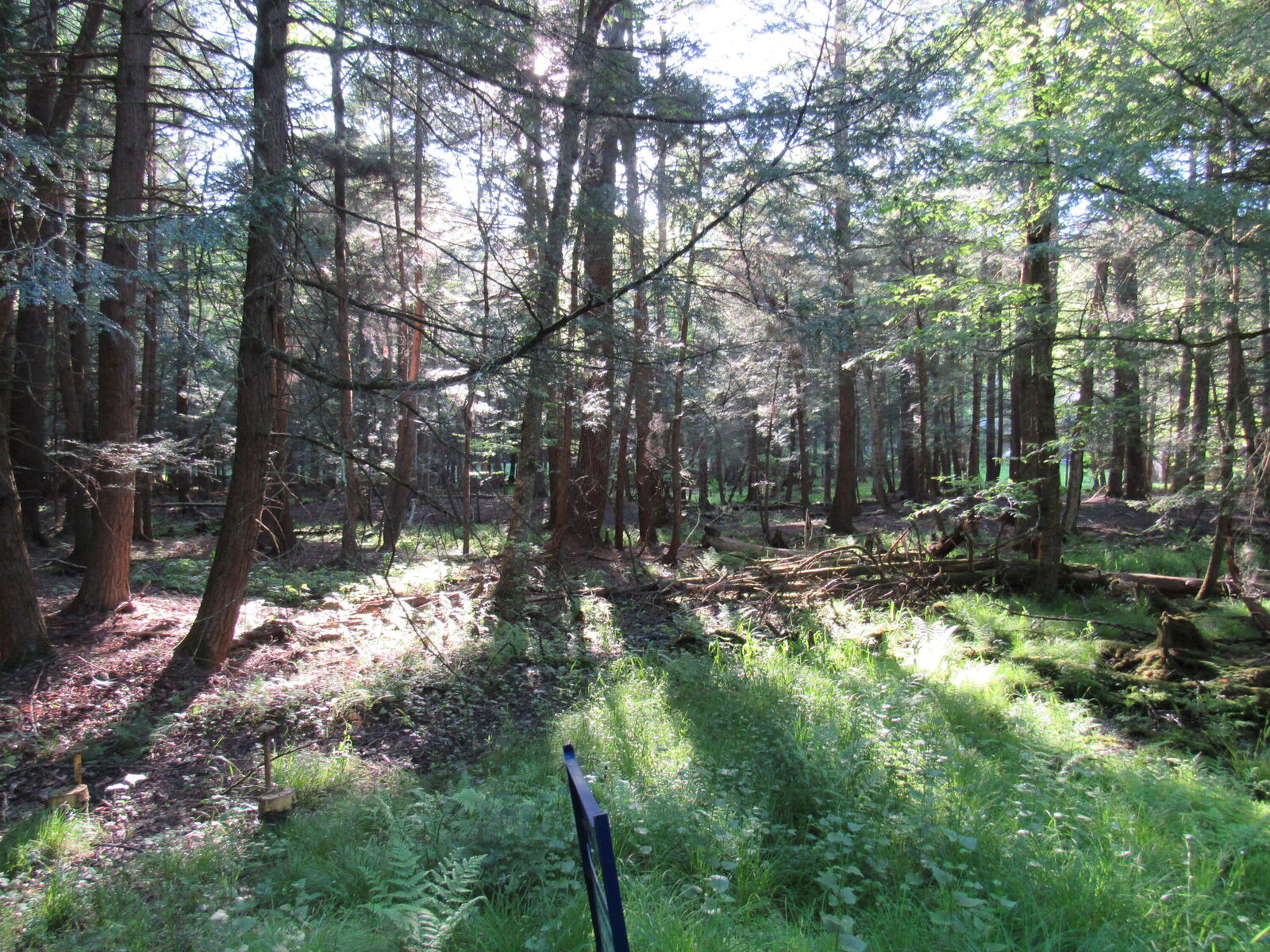 Property Photo:  25 Woolendean Rd  PA 15801 