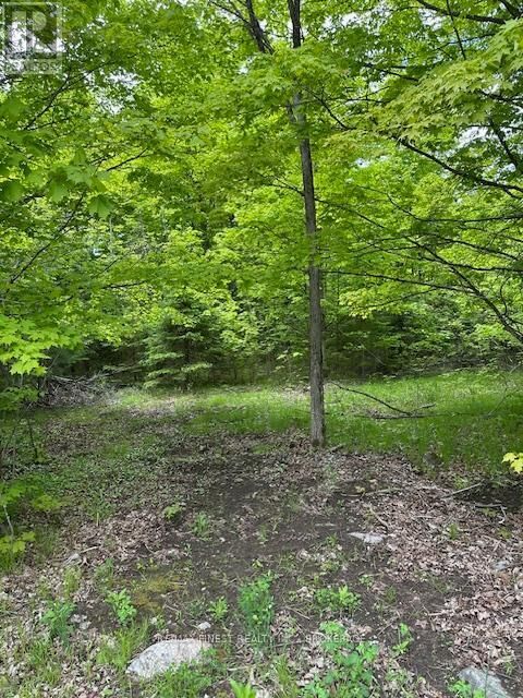 Property Photo:  17146 Road 509  ON K0H 2P0 