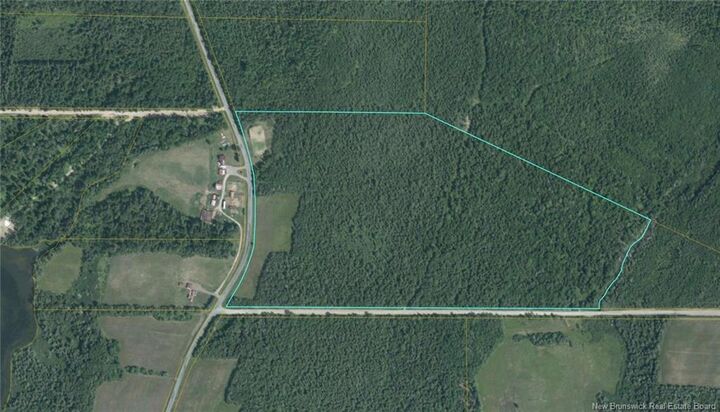 Lot 26-1 Route 495 — photo 1