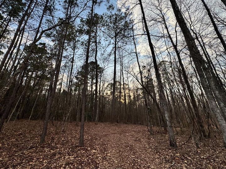 Property Photo: 0 Ga Highway 0116 GA 31811