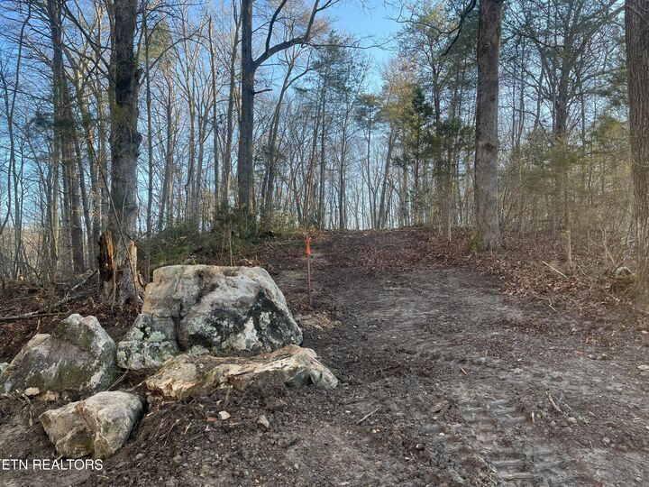 Property Photo: Old Spencer Rd. - 26 Acres Rd TN 37367