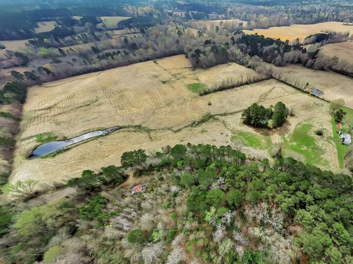 Property Photo:  L28104 Gilliland Creek Road  TX 75949 