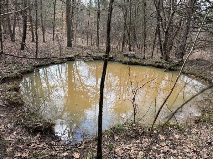 Property Photo:  Tract 14 Hamilton-Lee Road  KY 42256 