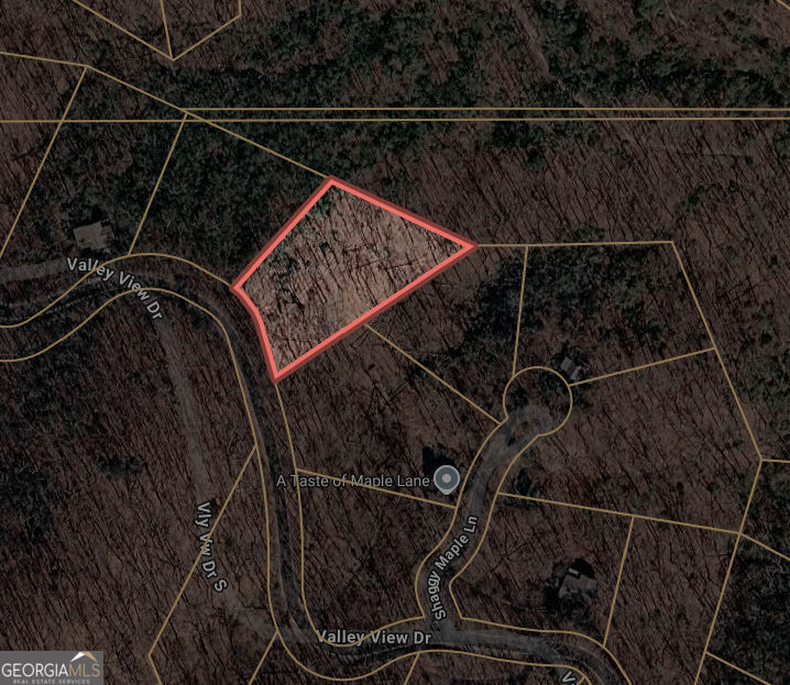 Property Photo:  0 Valley View Drive  GA 30143 