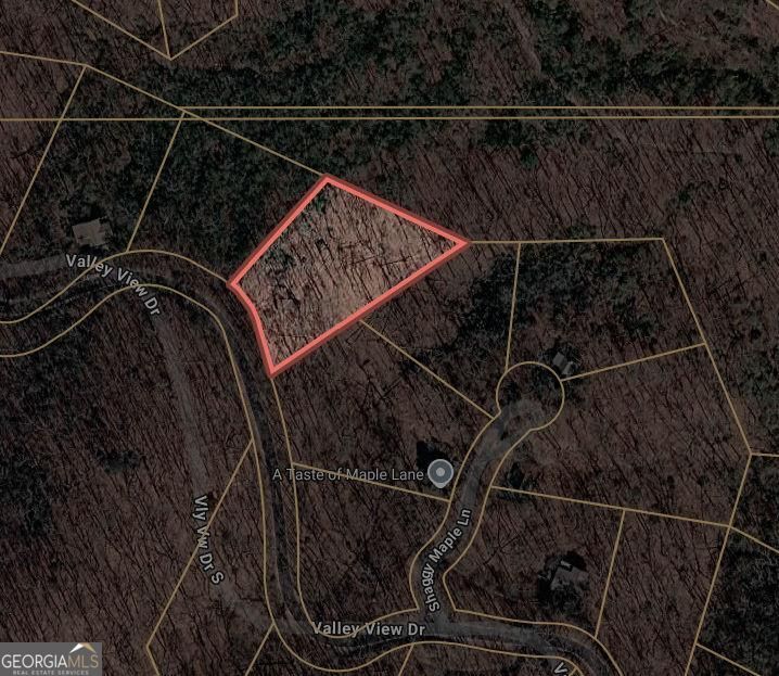 Property Photo:  0 Valley View Drive  GA 30143 