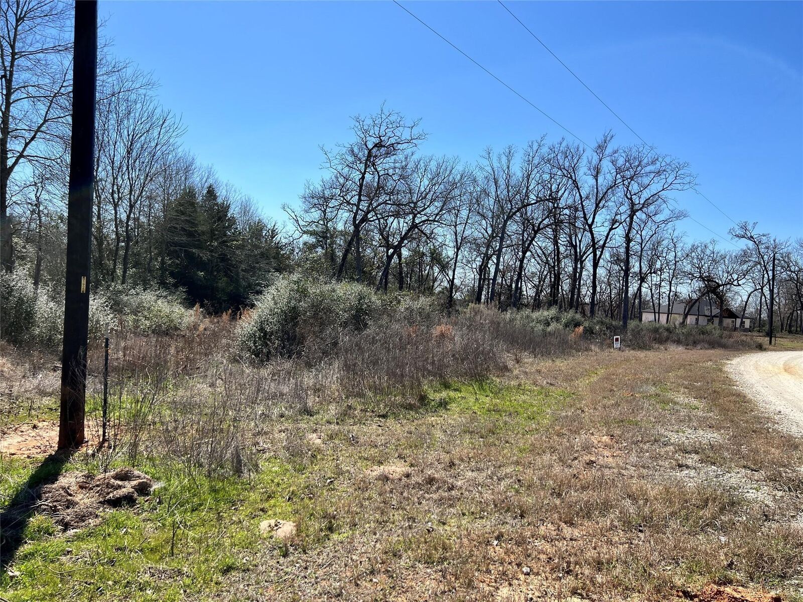 Property Photo:  Lot 31 Cr 389  TX 75846 