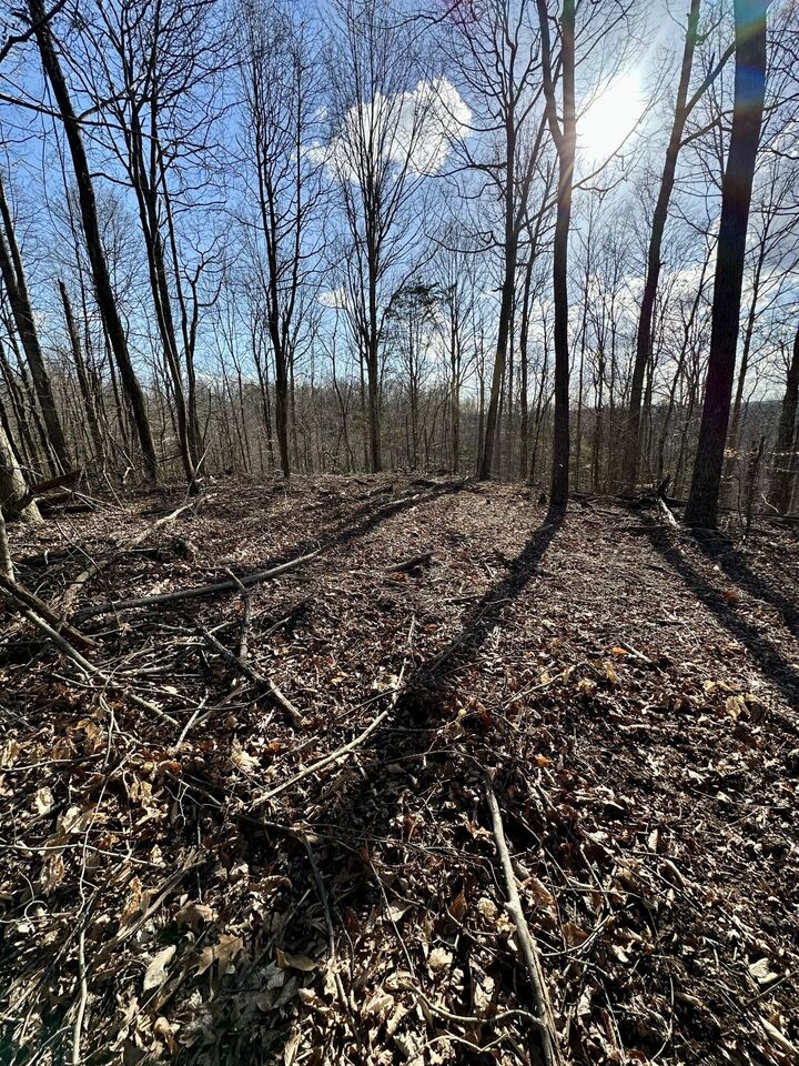 Property Photo: 6 Malone Ridge Road 6 KY 42602