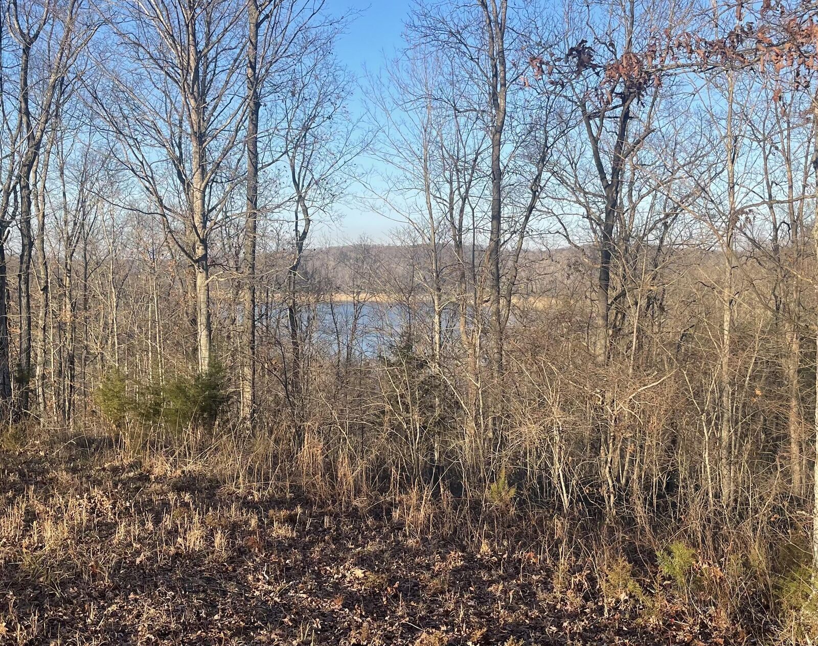 Property Photo: Lot 91 Cumberland Shores KY 42633