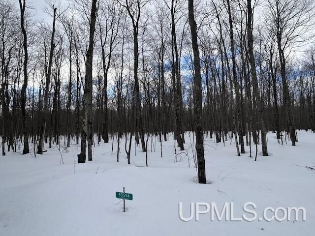 Property Photo: 53554 N N Superior Road MI 49931