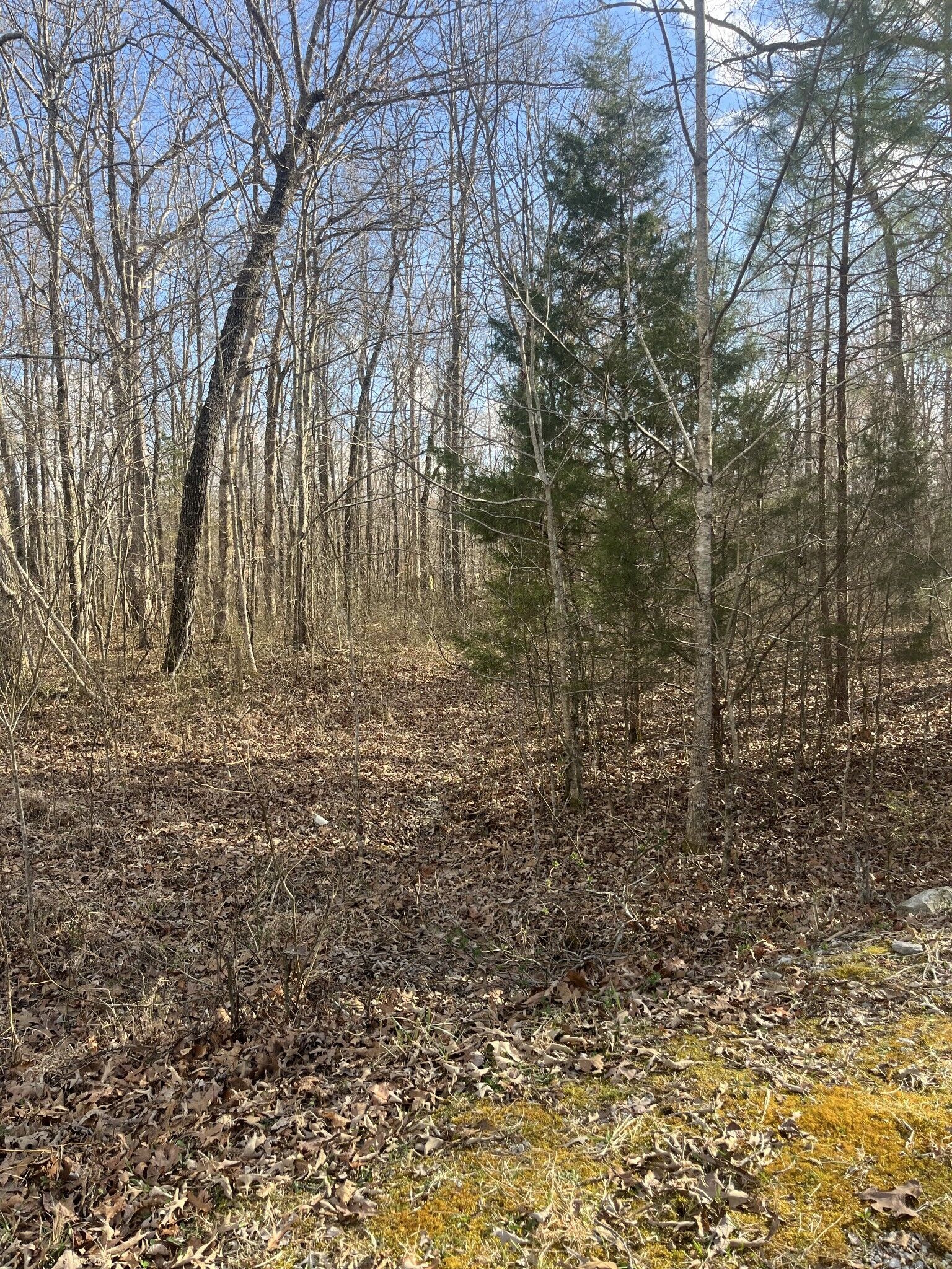 Property Photo: 0 Boyton Valley Rd TN 37355