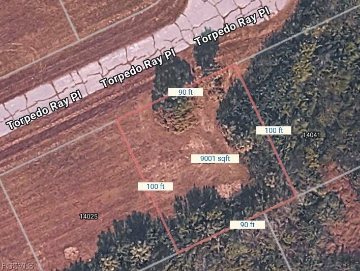 Property Photo:  14033 Torpedo-Ray Place  FL 33946 