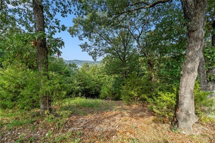 Property Photo:  Lot 10 Hillcrest Road  AR 72631 