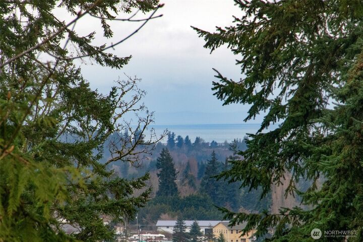 Property Photo:  141  Lavender Ridge Lane  WA 98382 