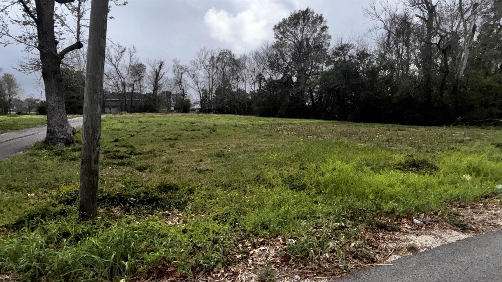 Property Photo:  1415 Maple St  TX 77703 