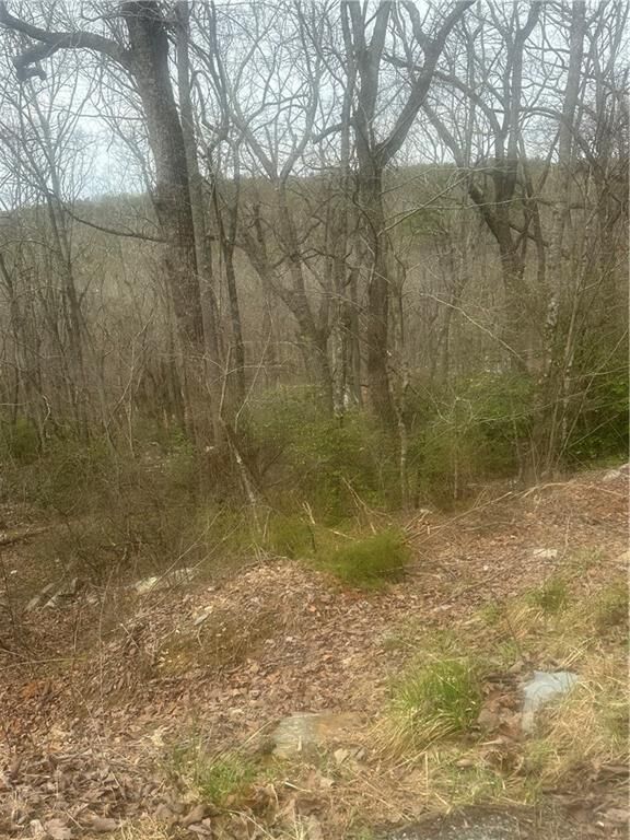 Property Photo: 0 Mulberry Court GA 30143