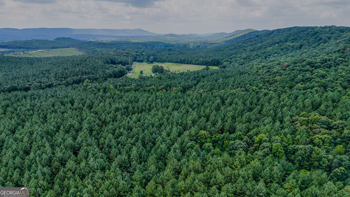 Property Photo:  Tract 4 Back Valley Road  GA 30730 