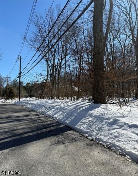 Property Photo:  15 Saw Mill Rd  NJ 07405 