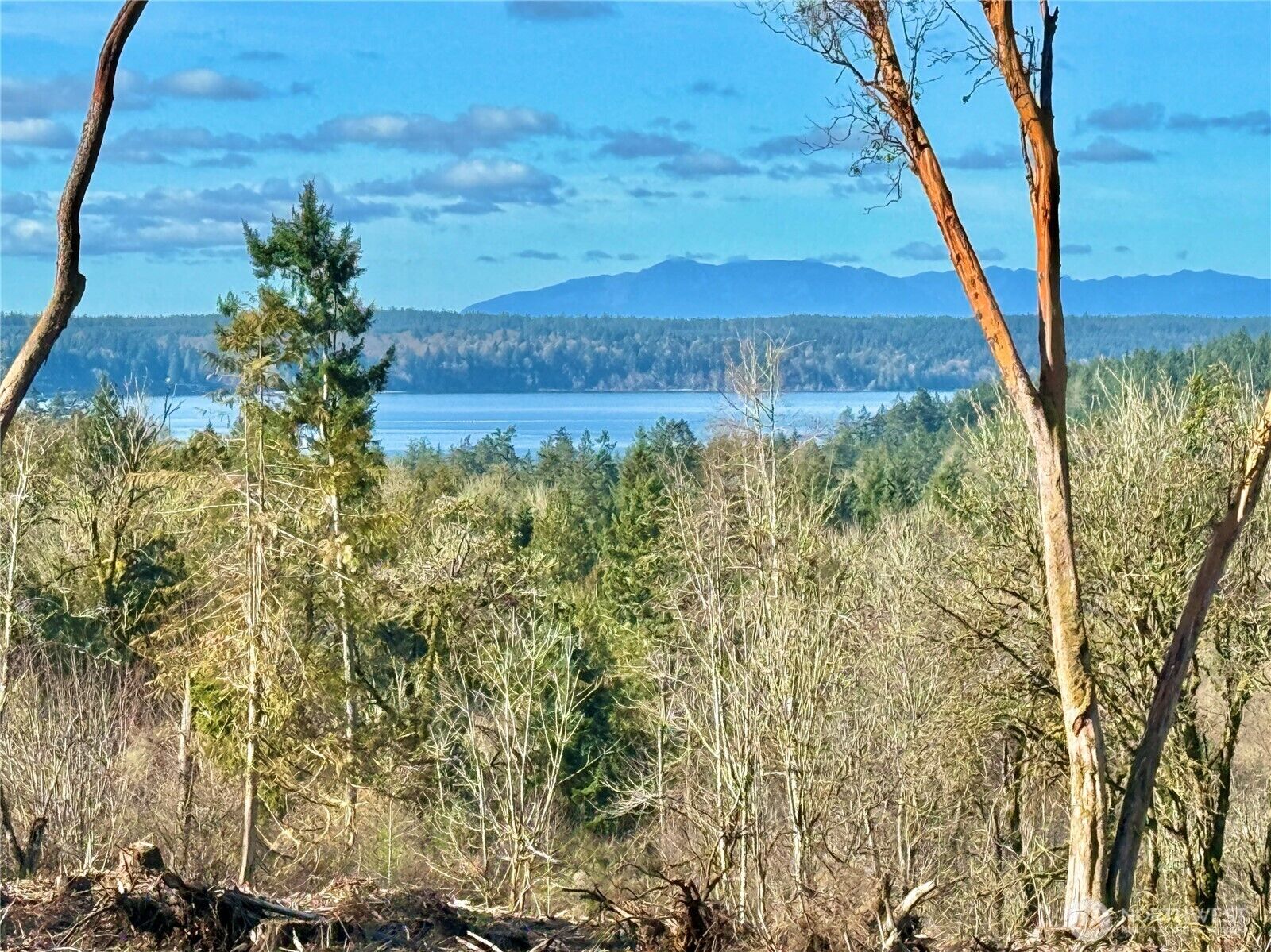 Property Photo:  4324  183rd Avenue Ct SW  WA 98351 