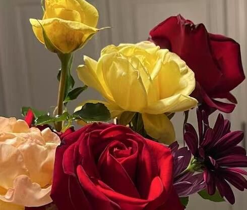 Property Photo: 431 Dela Vina Avenue CA 93940