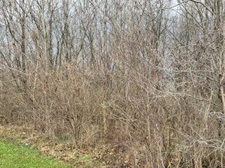 Property Photo: 0 Cattail Road OH 45601