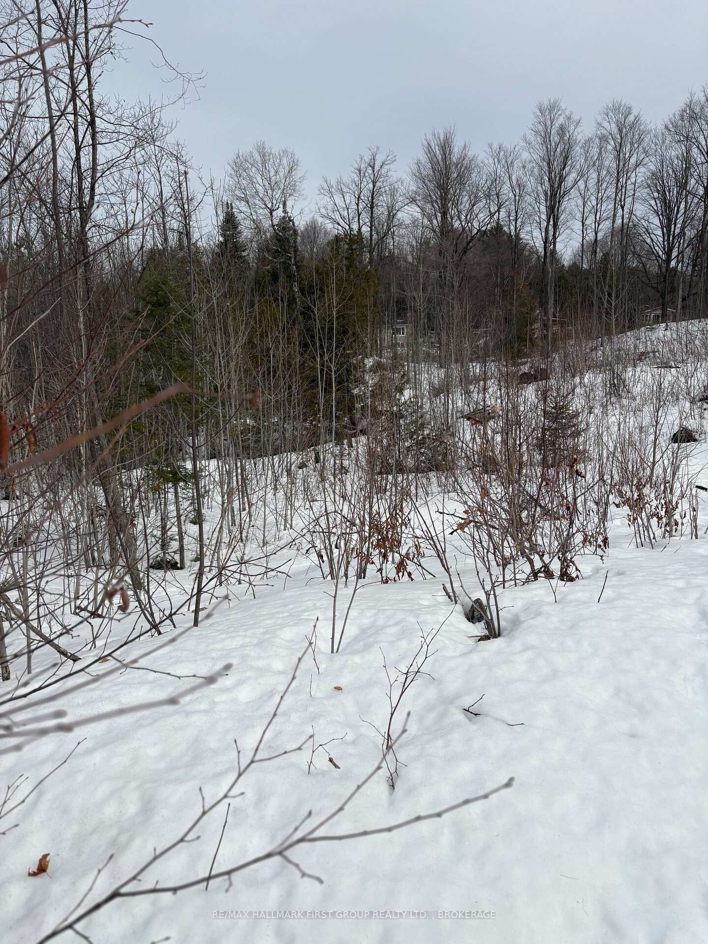 Property Photo:  Lot 0 County Road 38 N/A  ON K0H 2P0 