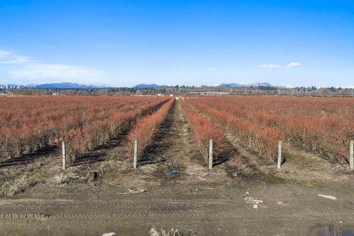 Property Photo:  15683 64 Avenue  BC V3S 2A2 