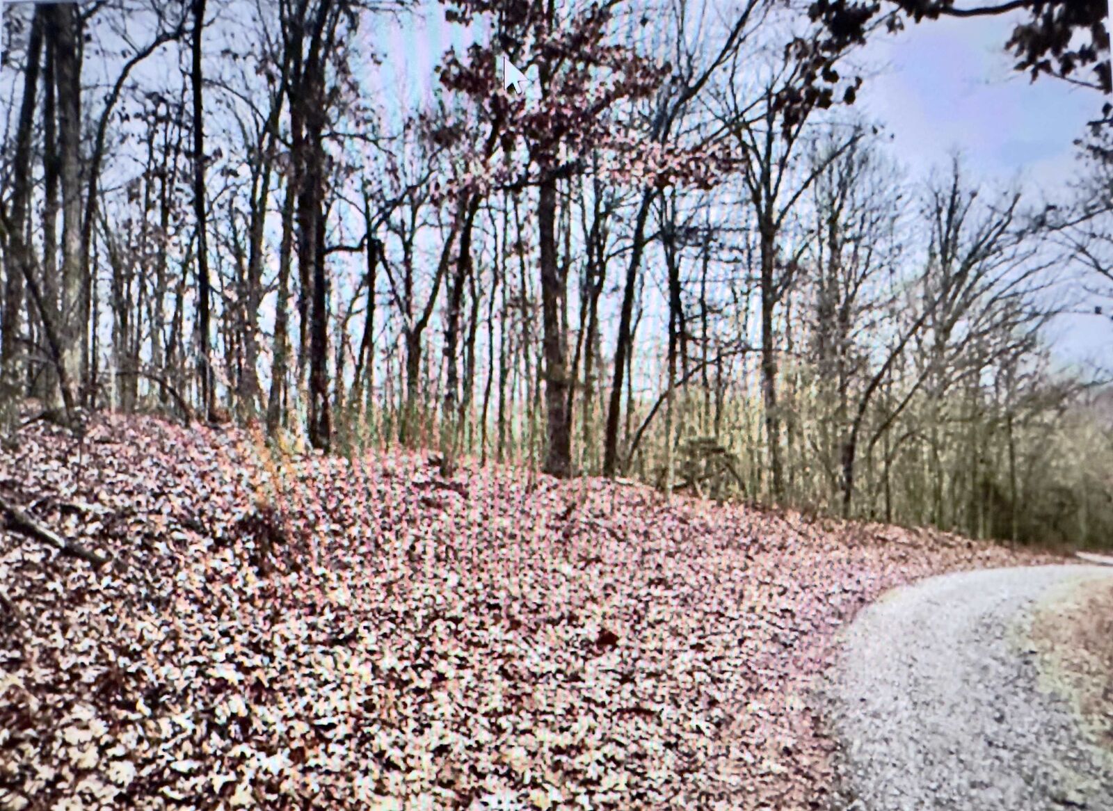 Property Photo:  151-157 Seminole Drive  AR 72542 