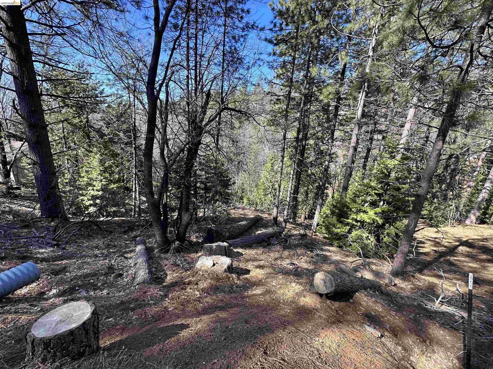 Property Photo:  23956 Stable Rd  CA 95370 