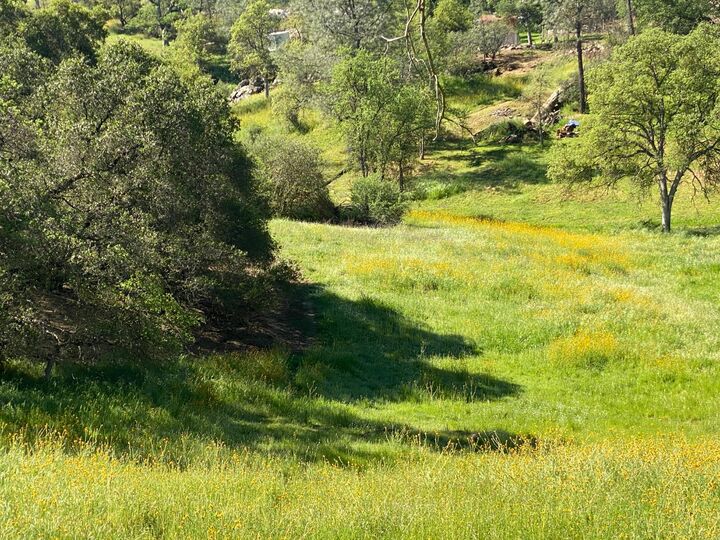 Property Photo:  17 Titan Way  CA 93614 