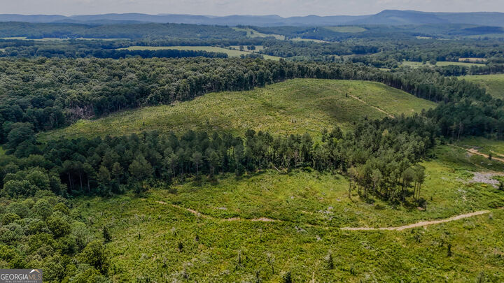 Property Photo:  Tract 8 Back Valley Road  GA 30730 