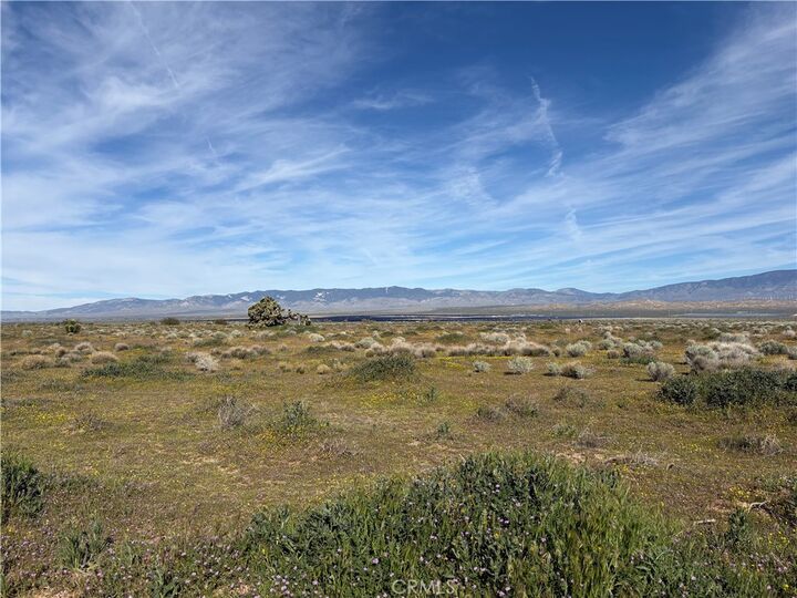 Property Photo:  0 Drylake  CA 93536 
