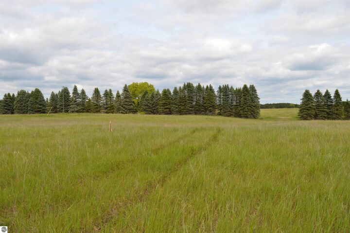 Property Photo: I Summit City Road MI 49649