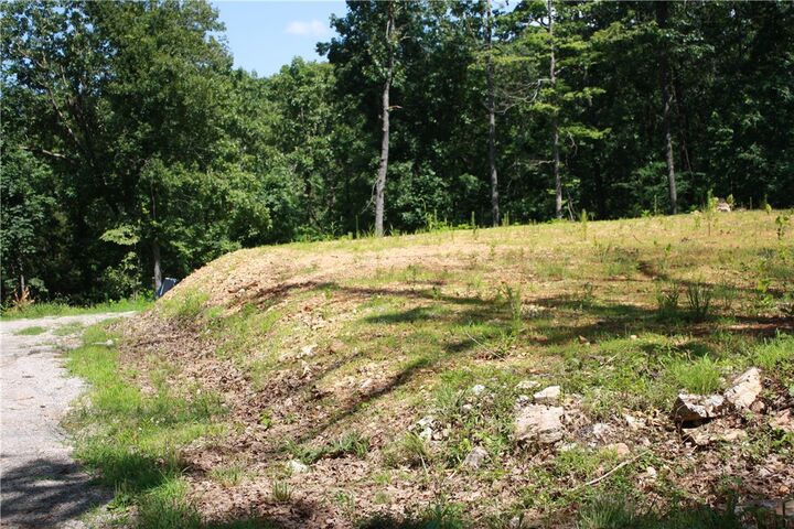 Property Photo:  263 S South Street  AR 72651 