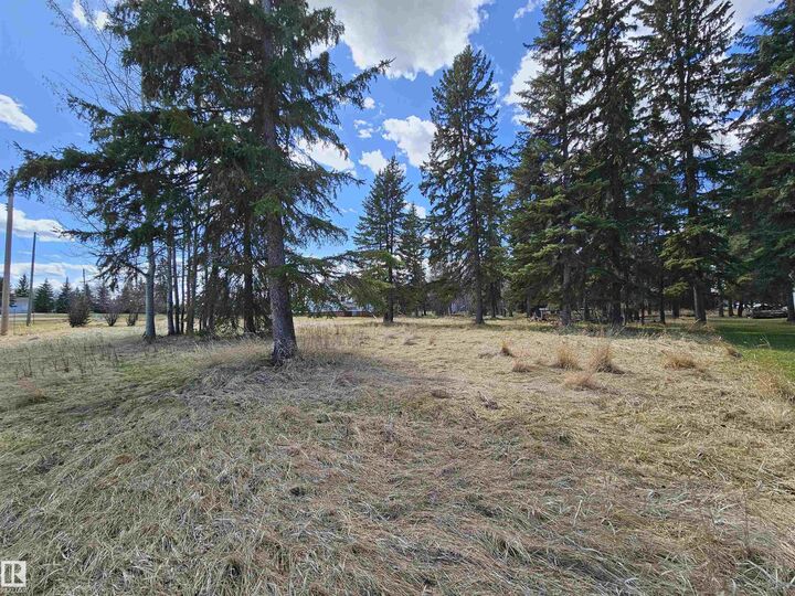 Property Photo:  106 2 Street  AB T0C 0T0 