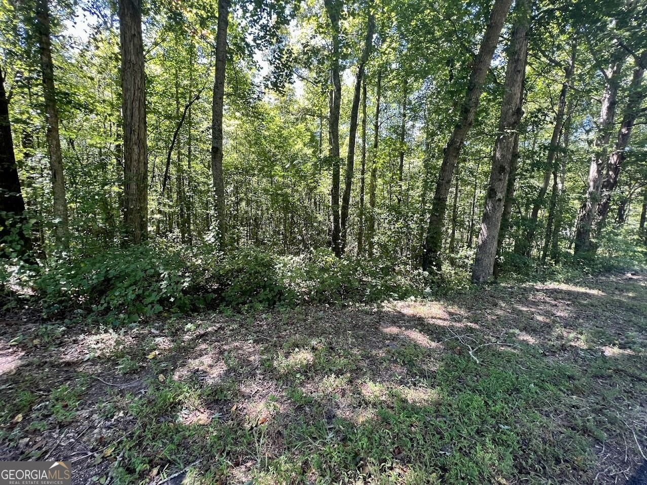 Property Photo: 0 Old Draketown Trail (5.62 Ac) GA 30179
