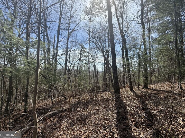 Property Photo:  Tract 3A Big View Lane  GA 30525 