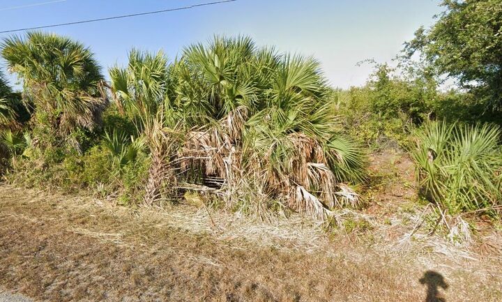 Property Photo:  13530 Storm Lake Street  FL 33981 