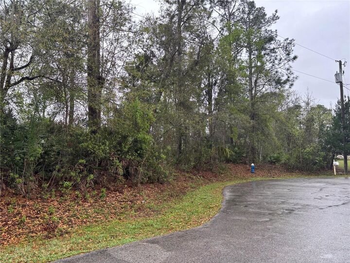 Property Photo: 5 Woodchuck Place FL 32164