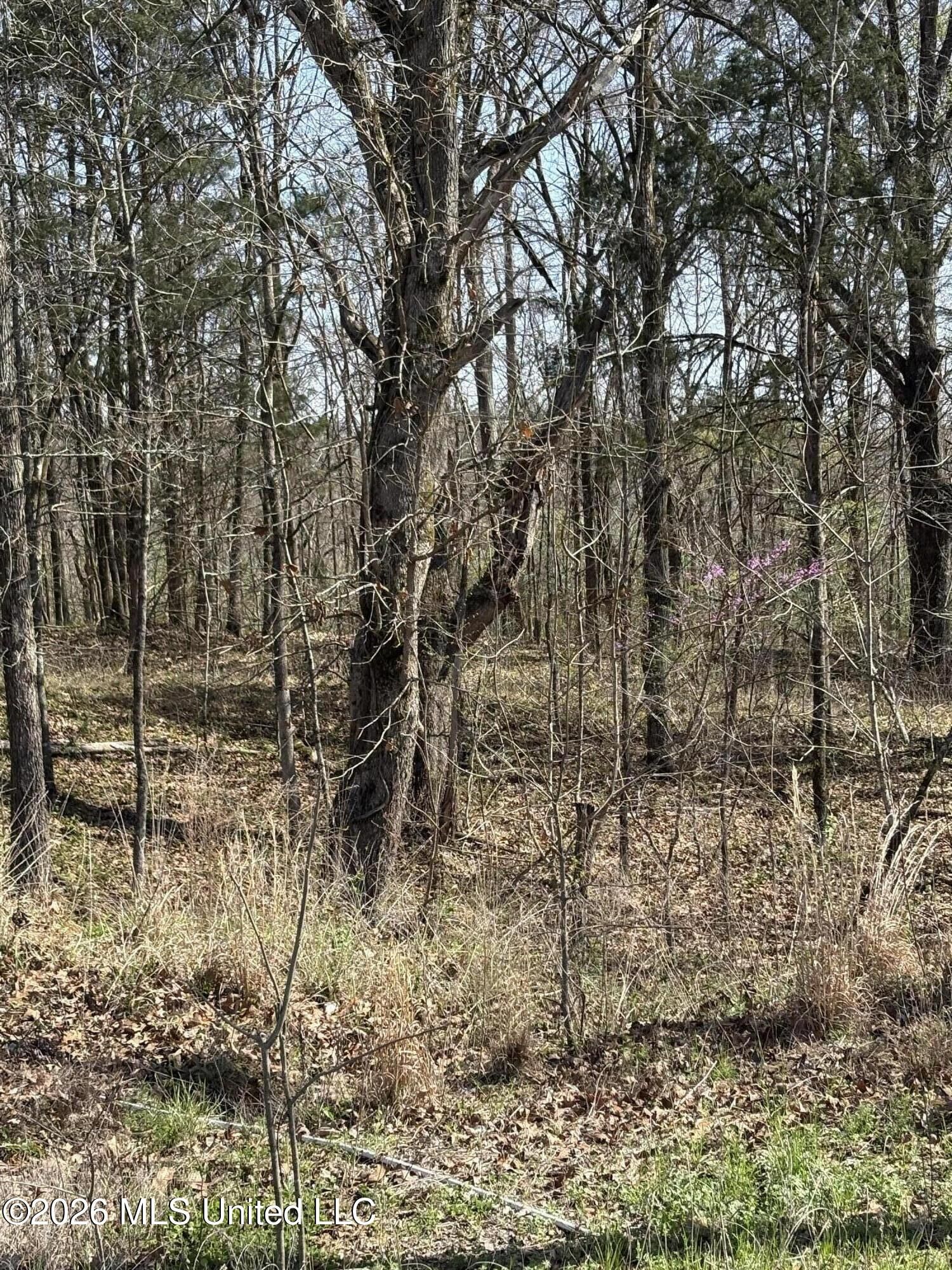 Property Photo:  0 Nolan Road  MS 38654 