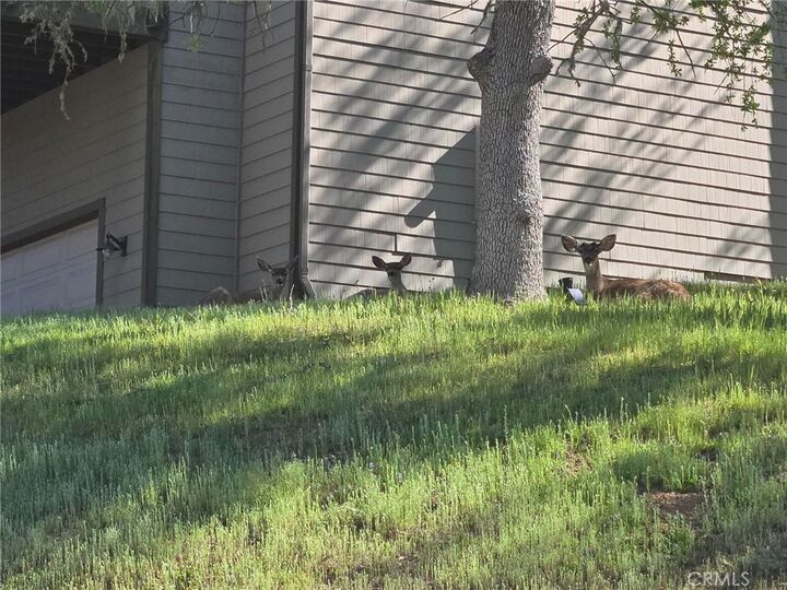 Property Photo:  2488 Captains Walk  CA 93426 