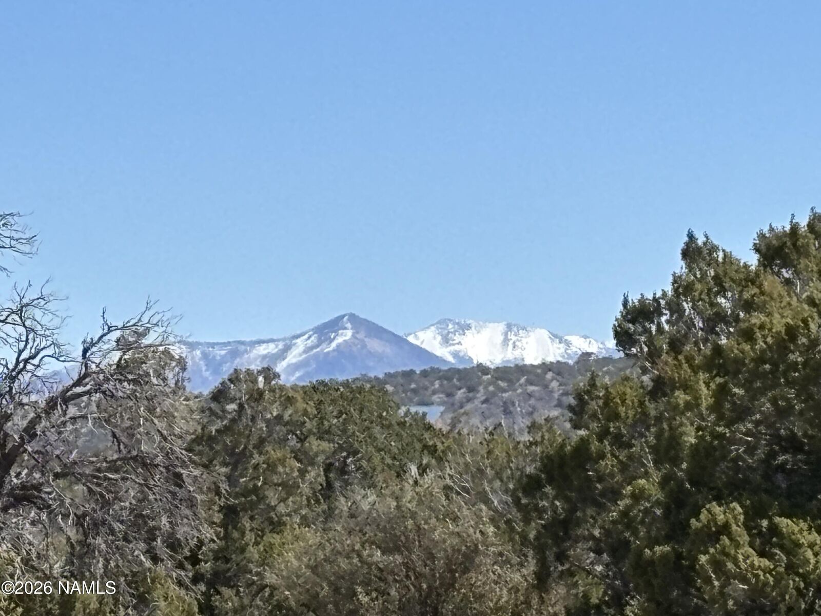 Property Photo:  3156 Jackrabbit - 27.97 Ac Road  AZ 86046 