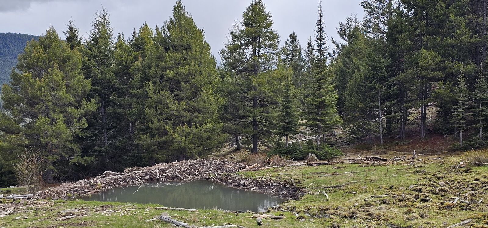 Property Photo:  Tract 8,9,10 Garnet Range  MT 59832 