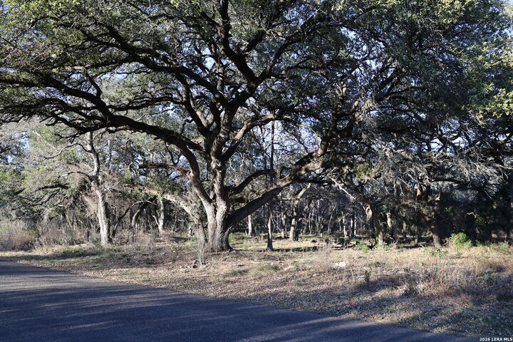 Property Photo:  Tbd County Road 241  TX 78861 