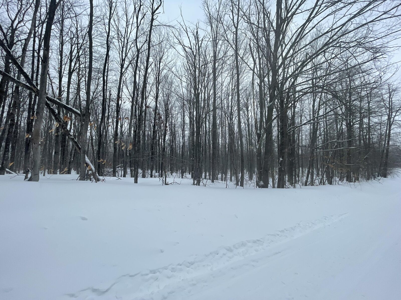 Property Photo:  L 320-321 Whispering Pines Drive  MI 49659 