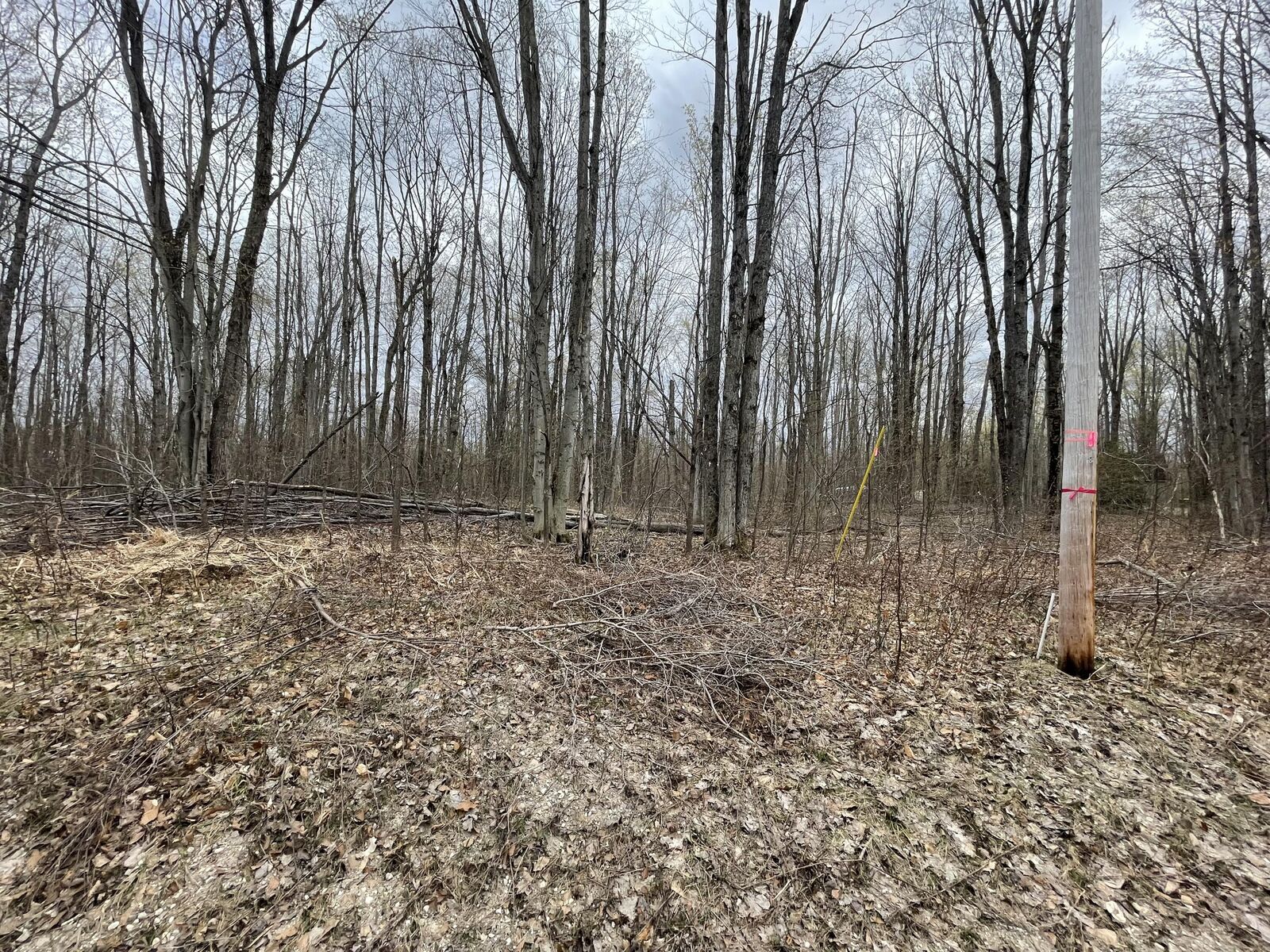 Property Photo:  L 320-321 Whispering Pines Drive  MI 49659 
