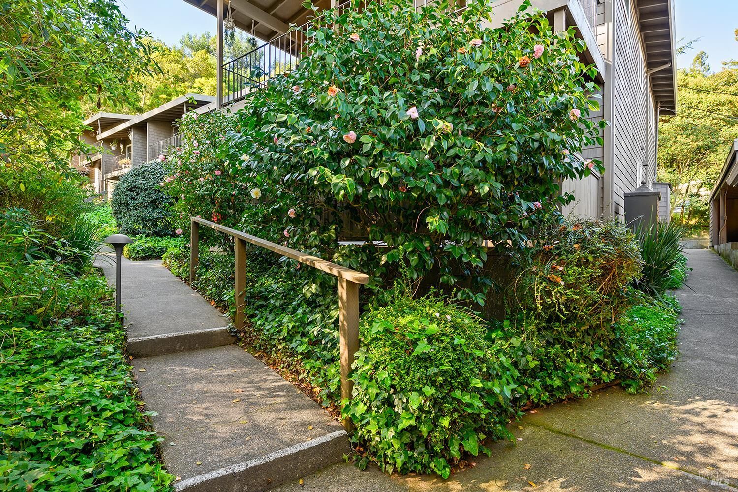 Property Photo: 1411 Casa Buena Drive 31 CA 94925