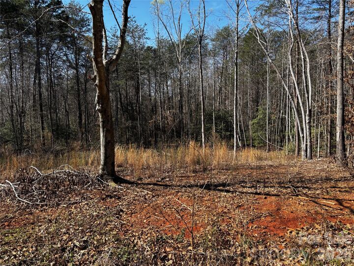 Property Photo: 1467 Graycrest Drive NC 28609